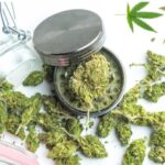 Benefits of adding Medical Marijuana to your Medicinal Routine