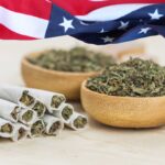 Is Medical Marijuana legal in the USA